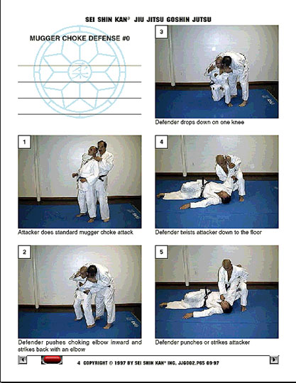 SEI SHIN KAN GOSHIN JUTSU MANUAL