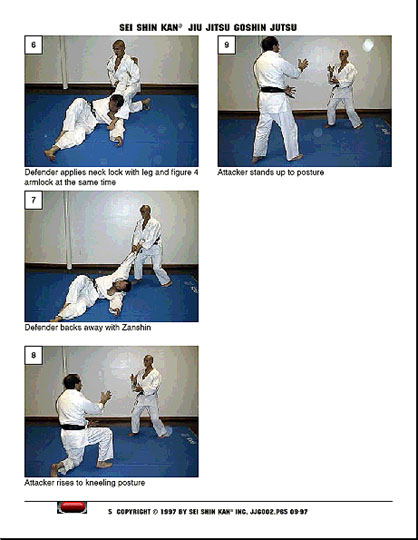 SEI SHIN KAN GOSHIN JUTSU MANUAL